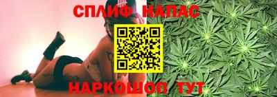 гашик Лесосибирск