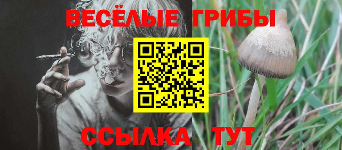 Псилоцибиновые грибы GOLDEN TEACHER  цена наркотик  Урюпинск  Псилоцибиновые грибы GOLDEN TEACHER  Вход с VPN 